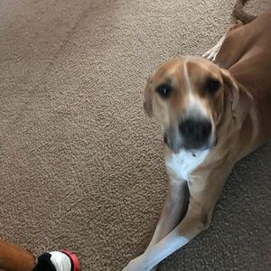 Meet your Posher, Kyle